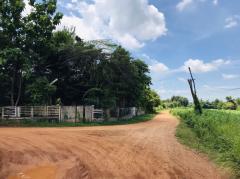 ขายที่ดิน ติดถนนมิตรภาพ 75 ไร่ ผังสีม่วง ฝั่งขาเข้ากรุงเทพฯ อ.น้ำพอง จ.ขอนแก่น เหมาะทำโรงงาน คลังสินค้า ใกล้ท่าเรือบก dry port-202505231850441748001044121.jpg