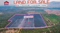 ขายที่ดินแปลงใหญ่ พื้นที่ 127-3-22 ไร่ ตำบลท่าตะคร้อ อำเภอหนองหญ้าปล้อง จังหวัดเพชรบุรี