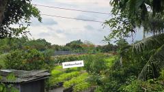 ขายที่ดิน แถวบางใหญ่ ทำเลทอง ติดคลอง ใกล้โครงการคมนาคม-202505240747531748047673352.jpg