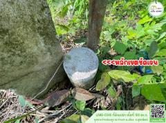 ที่ดินเปล่า ติดถนนคอนกรีต (ชุมชนบ้านห้องสูง)ใกล้โลตัส,โรงเรียนอุตดริตถ์คริสเตียน-202505241141141748061674299.jpg