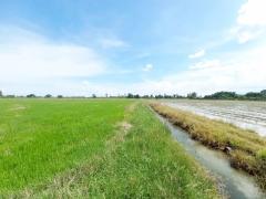 ขายที่ดินเปล่า คลอง16 (หนองปล้อง) อำเภอดอนเจดีย์ จังหวัดสุพรรณบุรี-202505241143401748061820257.jpg
