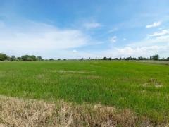 ขายที่ดินเปล่า คลอง16 (หนองปล้อง) อำเภอดอนเจดีย์ จังหวัดสุพรรณบุรี-202505241143401748061820888.jpg