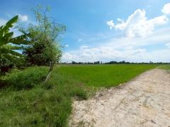 ขายที่ดินเปล่า คลอง16 (หนองปล้อง) อำเภอดอนเจดีย์ จังหวัดสุพรรณบุรี-202505241143411748061821529.jpg