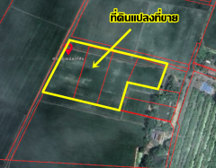 ขายที่ดินเปล่า คลอง16 (หนองปล้อง) อำเภอดอนเจดีย์ จังหวัดสุพรรณบุรี-202505241143431748061823541.png