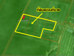 ขายที่ดินเปล่า คลอง16 (หนองปล้อง) อำเภอดอนเจดีย์ จังหวัดสุพรรณบุรี-202505241143441748061824168.png