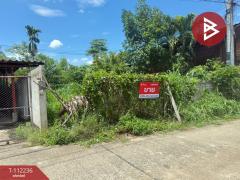 ขายที่ดิน เนื้อที่ 53 ตร.วา ซ.สุขสำราญ ห้างฉัตร ลำปาง-202505241432101748071930850.jpg