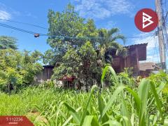 ขายที่ดิน เนื้อที่ 53 ตร.วา ซ.สุขสำราญ ห้างฉัตร ลำปาง-202505241432121748071932109.jpg
