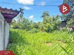 ขายที่ดิน เนื้อที่ 53 ตร.วา ซ.สุขสำราญ ห้างฉัตร ลำปาง-202505241432121748071932737.jpg