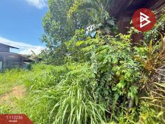 ขายที่ดิน เนื้อที่ 53 ตร.วา ซ.สุขสำราญ ห้างฉัตร ลำปาง-202505241432131748071933394.jpg