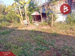 ขายที่ดิน เนื้อที่ 53 ตร.วา ซ.สุขสำราญ ห้างฉัตร ลำปาง-202505241432141748071934022.jpg