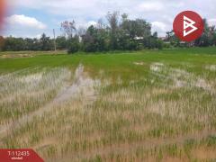 ขายที่ดิน เนื้อที่ 1 ไร่ 3 งาน 74 ตร.วา กงไกรลาศ สุโขทัย-202505241536541748075814779.jpg