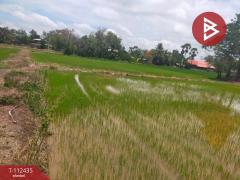 ขายที่ดิน เนื้อที่ 1 ไร่ 3 งาน 74 ตร.วา กงไกรลาศ สุโขทัย-202505241536571748075817331.jpg