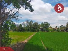 ขายที่ดิน เนื้อที่ 1 ไร่ 3 งาน 74 ตร.วา กงไกรลาศ สุโขทัย-202505241536571748075817968.jpg