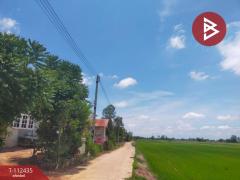 ขายที่ดิน เนื้อที่ 1 ไร่ 3 งาน 74 ตร.วา กงไกรลาศ สุโขทัย-202505241537011748075821287.jpg