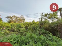 ขายที่ดิน เนื้อที่ 11 ไร่ 3 งาน 53 ตร.วา ท่าใหม่ จันทบุรี-202505241541521748076112741.jpg