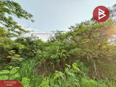 ขายที่ดิน เนื้อที่ 11 ไร่ 3 งาน 53 ตร.วา ท่าใหม่ จันทบุรี-202505241541541748076114654.jpg
