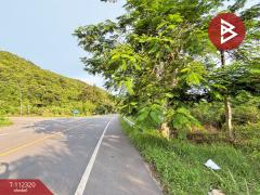 ขายที่ดิน เนื้อที่ 11 ไร่ 3 งาน 53 ตร.วา ท่าใหม่ จันทบุรี-202505241541561748076116578.jpg