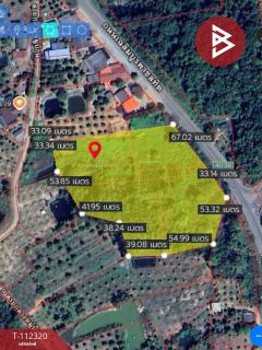 ขายที่ดิน เนื้อที่ 11 ไร่ 3 งาน 53 ตร.วา ท่าใหม่ จันทบุรี-202505241541581748076118166.jpg