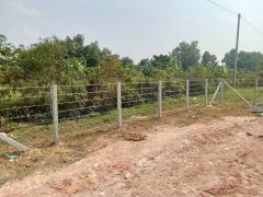 ให้เช่าที่ดินทำเลทอง – กลางเมืองหาดใหญ่ เหมาะสำหรับนักลงทุน-202505241714451748081685700.jpg