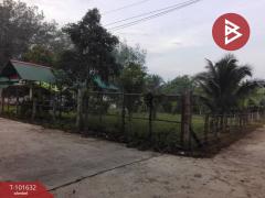 ขายบ้านเดี่ยวพร้อมที่ดิน เนื้อที่ 3 งาน 52 ตร.วา คลองหอยโข่ง สงขลา-202505241726361748082396849.jpg
