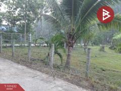 ขายบ้านเดี่ยวพร้อมที่ดิน เนื้อที่ 3 งาน 52 ตร.วา คลองหอยโข่ง สงขลา-202505241726381748082398147.jpg