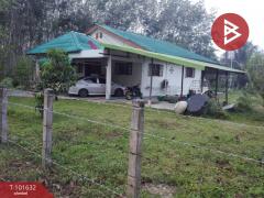 ขายบ้านเดี่ยวพร้อมที่ดิน เนื้อที่ 3 งาน 52 ตร.วา คลองหอยโข่ง สงขลา-202505241726381748082398793.jpg