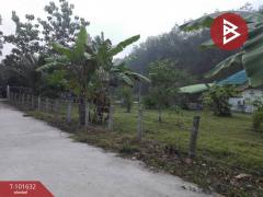 ขายบ้านเดี่ยวพร้อมที่ดิน เนื้อที่ 3 งาน 52 ตร.วา คลองหอยโข่ง สงขลา-202505241726411748082401401.jpg