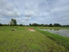 ขายที่ดินแปลงสวยติดถนน อำเภอเมือง จังหวัดหนองคาย เนื้อที่ 24 ไร่