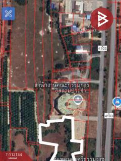 ขายที่ดิน เนื้อที่ 17 ไร่ 1 งาน 93.9 ตร.วา นาทราย นครศรีธรรมราช-202505251047361748144856951.jpg