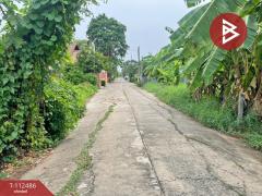 ขายที่ดิน เนื้อที่ 1 งาน 9 ตร.วา ในเมือง เพชรบูรณ์-202505251301161748152876892.jpg