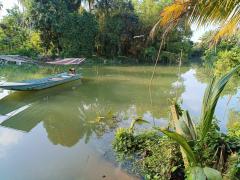 ขายถูกมาก!! บ้านพร้อมที่ดิน 123 ตร.ว. ติดถนน ทำเลดี อ.เมือง จ.ชุมพร ใกล้ใจกลางเมืองชุมพรเพียง 5 กม.-202505261050091748231409198.jpg