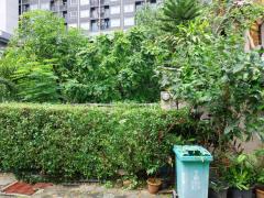 ขายที่ดิน ใกล้โลตัสจรัญสนิทวงศ์ และแม่น้ำเจ้าพระยา เนื้อที่ 126 ตรว เหมาะสำหรับทำบ้านอยู่อาศัย-202505261202251748235745521.jpg