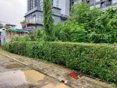 ขายที่ดิน ใกล้โลตัสจรัญสนิทวงศ์ และแม่น้ำเจ้าพระยา เนื้อที่ 126 ตรว เหมาะสำหรับทำบ้านอยู่อาศัย-202505261202261748235746149.jpg