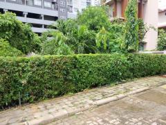 ขายที่ดิน ใกล้โลตัสจรัญสนิทวงศ์ และแม่น้ำเจ้าพระยา เนื้อที่ 126 ตรว เหมาะสำหรับทำบ้านอยู่อาศัย-202505261202291748235749139.jpg