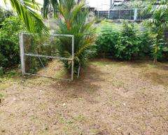 ขายที่ดิน ใกล้โลตัสจรัญสนิทวงศ์ และแม่น้ำเจ้าพระยา เนื้อที่ 126 ตรว เหมาะสำหรับทำบ้านอยู่อาศัย-202505261202301748235750681.jpg