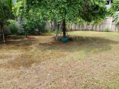 ขายที่ดิน ใกล้โลตัสจรัญสนิทวงศ์ และแม่น้ำเจ้าพระยา เนื้อที่ 126 ตรว เหมาะสำหรับทำบ้านอยู่อาศัย-202505261202311748235751321.jpg