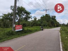 ขายที่ดิน เนื้อที่ 40 ไร่ 3 ตร.วา สุไหงโก-ลก นราธิวาส-202505261226561748237216453.jpg