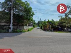 ขายที่ดิน เนื้อที่ 1 งาน 61.5 ตร.วา อัมพวา สมุทรสงคราม-202505261517191748247439435.jpg