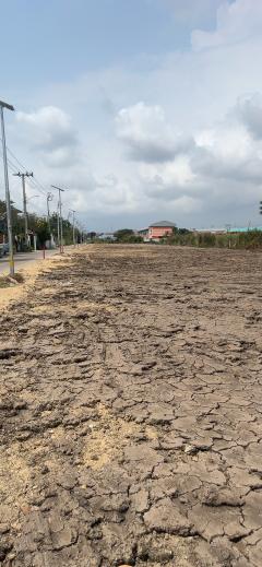 ขายที่ดินถมแล้ว 90 ตรว. ราคาถูกสุดในย่านนี้ ทำเลดีมาก ใกล้ตลาด เข้าออกสะดวก พร้อมใช้งานทันที-202505271041451748317305928.jpg