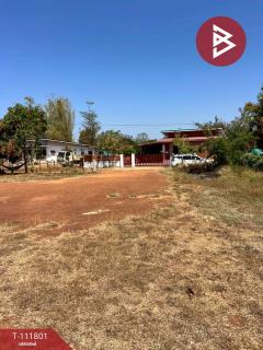 ขายที่ดิน เนื้อที่ 1 งาน 62 ตร.วา นาแก นครพนม-202505271123071748319787893.jpg