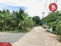 ขายที่ดิน เนื้อที่ 67 ตร.วา บางคนที สมุทรสงคราม-202505271608461748336926637.jpg