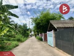 ขายที่ดิน เนื้อที่ 67 ตร.วา บางคนที สมุทรสงคราม-202505271608481748336928639.jpg