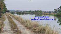 ขาย ที่ดิน ทำเลดี บริเวณชุมชนบ้านระกาศ อ.บางบ่อ เหมาะแก่การพัฒนาโครงการจัดสรร  ถ.บางนา-ตราด 49 ไร่ 2 งาน 70 ตรว ผังเมืองสีเหลือง พร้อมโอน-202505271707481748340468042.jpg