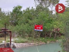 ขายที่ดิน เนื้อที่ 19 ไร่ 1 งาน 77 ตร.วา หัวไทร นครศรีธรรมราช