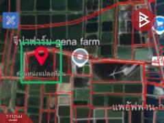 ขายที่ดิน เนื้อที่ 19 ไร่ 1 งาน 77 ตร.วา หัวไทร นครศรีธรรมราช-202505271712231748340743870.jpg
