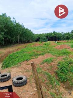 ขายที่ดินเปล่าด่วน เนื้อที่ 5 ไร่ แก่งหางแมว จันทบุรี-202505280150271748371827733.jpg