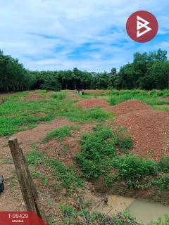 ขายที่ดินเปล่าด่วน เนื้อที่ 5 ไร่ แก่งหางแมว จันทบุรี-202505280150281748371828380.jpg