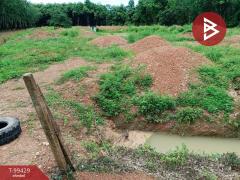 ขายที่ดินเปล่าด่วน เนื้อที่ 5 ไร่ แก่งหางแมว จันทบุรี-202505280150301748371830282.jpg
