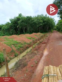 ขายที่ดินเปล่าด่วน เนื้อที่ 5 ไร่ แก่งหางแมว จันทบุรี-202505280150311748371831553.jpg