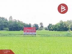ขายที่ดิน เนื้อที่ 1 ไร่ 27.7 ตร.วา อุทุมพรพิสัย ศรีสะเกษ-202505280934081748399648139.jpg